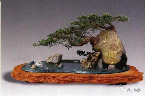 水泥构件在树石盆景中的创新艺术表现